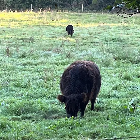 Alternative Zum Im Einfamilienhaus-eigenes Badezimmer Im Flur Penzion