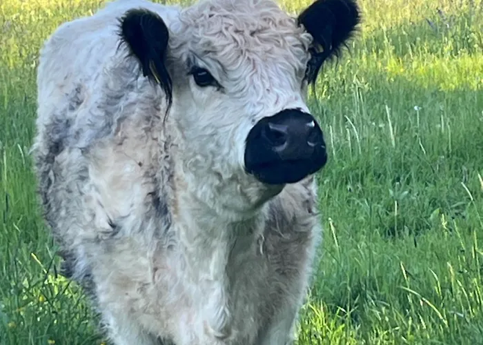 Alternative Zum Im Einfamilienhaus-eigenes Badezimmer Im Flur 4* Mechernich