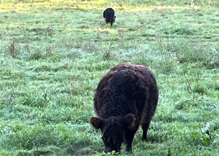 Alternative Zum Im Einfamilienhaus-eigenes Badezimmer Im Flur Pensión